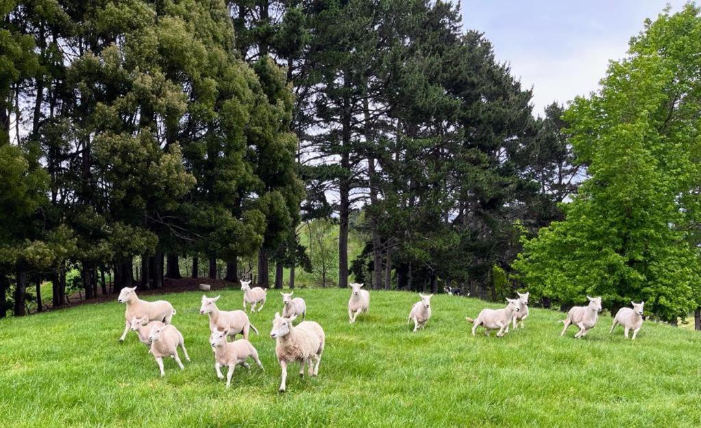 Karamu Homestead Bagian luar foto